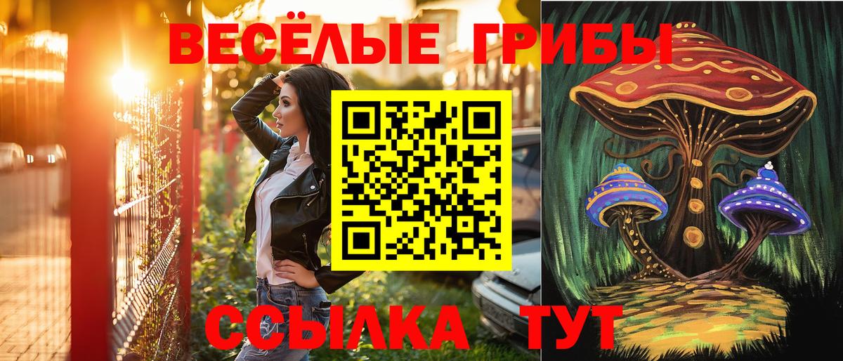 Псилоцибиновые грибы Cubensis Красноармейск
